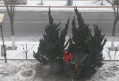 最美“一線”人-建筑裝飾業(yè)一線工人的一天